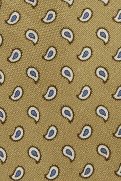 Paisley Pattern Tie