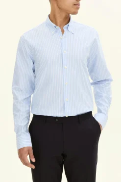 Regular Fit Button Down Oxford Shirt