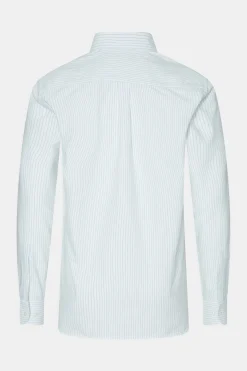 Regular Fit Button Down Oxford Shirt