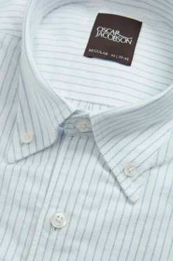 Regular Fit Button Down Oxford Shirt