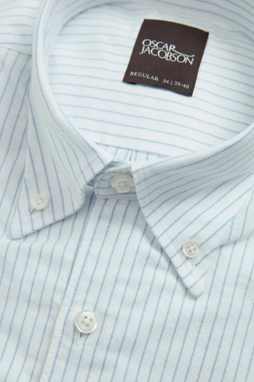 Regular Fit Button Down Oxford Shirt