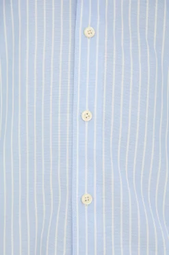Regular Fit Button Down Oxford Shirt