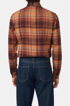 Regular Fit Button Down Shirt