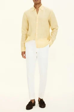 Regular Fit Button Down Shirt