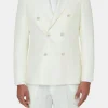 Regular Fit Double Breasted Microstructure Blazer