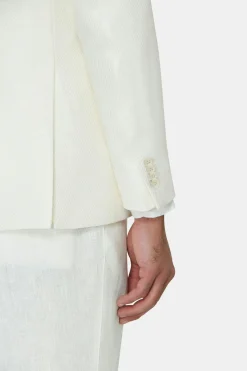 Regular Fit Double Breasted Microstructure Blazer