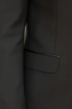 Regular Fit Double Breasted Microstructure Tuxedo Blazer