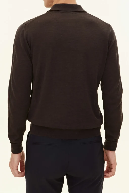 Regular Fit Extra Fine Merino Wool Polo Shirt