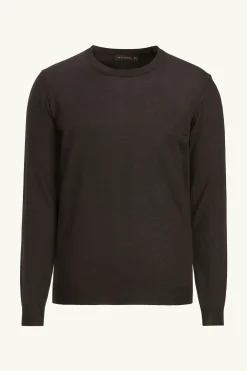 Regular Fit Extra Fine Merino Wool Roundneck Sweater