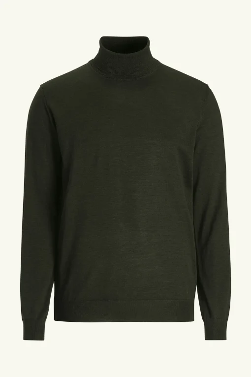 Regular Fit Extra Fine Merino Wool Rollneck