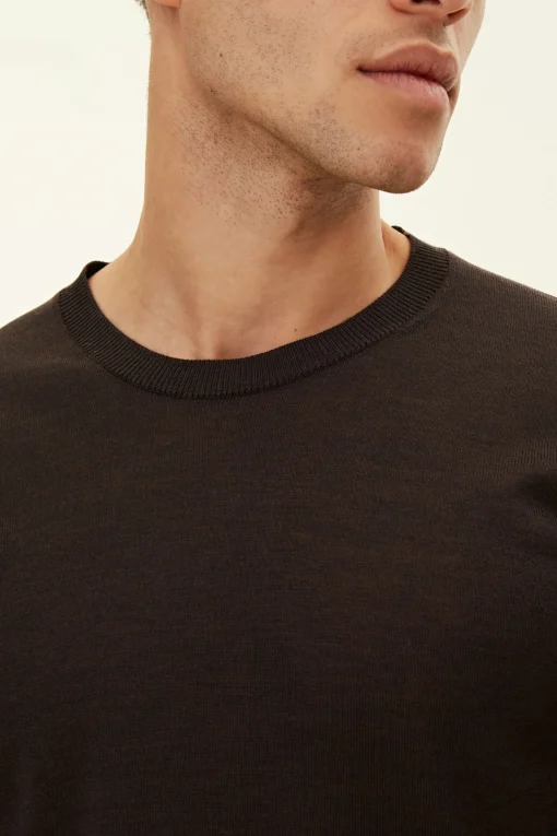Regular Fit Extra Fine Merino Wool Roundneck Sweater