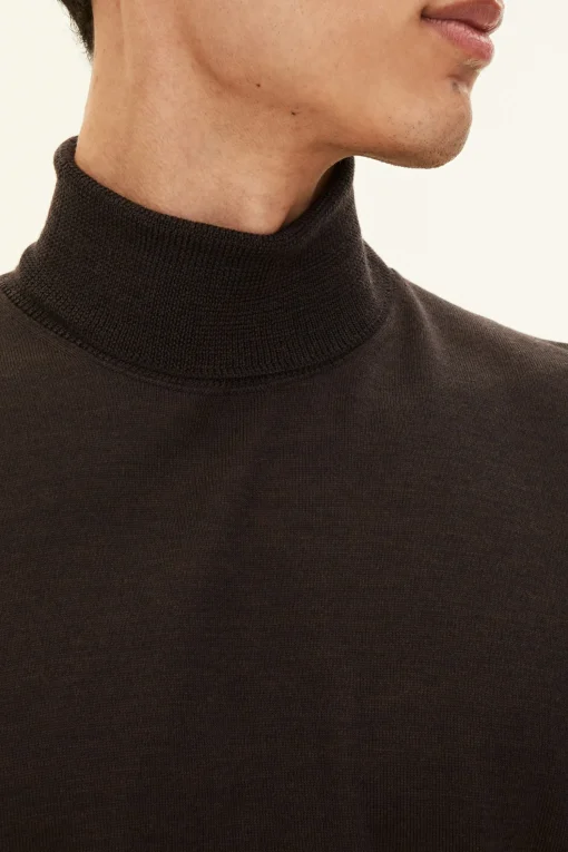 Regular Fit Extra Fine Merino Wool Rollneck