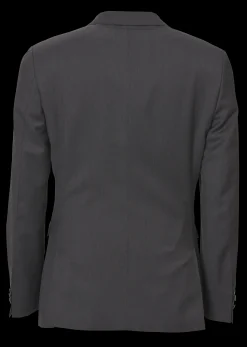 Regular Fit Microstructure Blazer