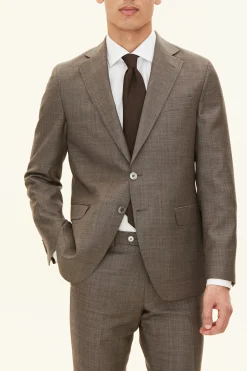 Regular Fit Microstructure Blazer