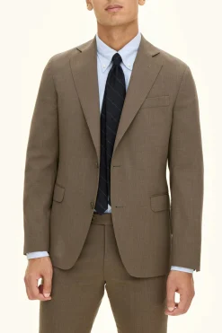 Regular Fit Microstructure Blazer