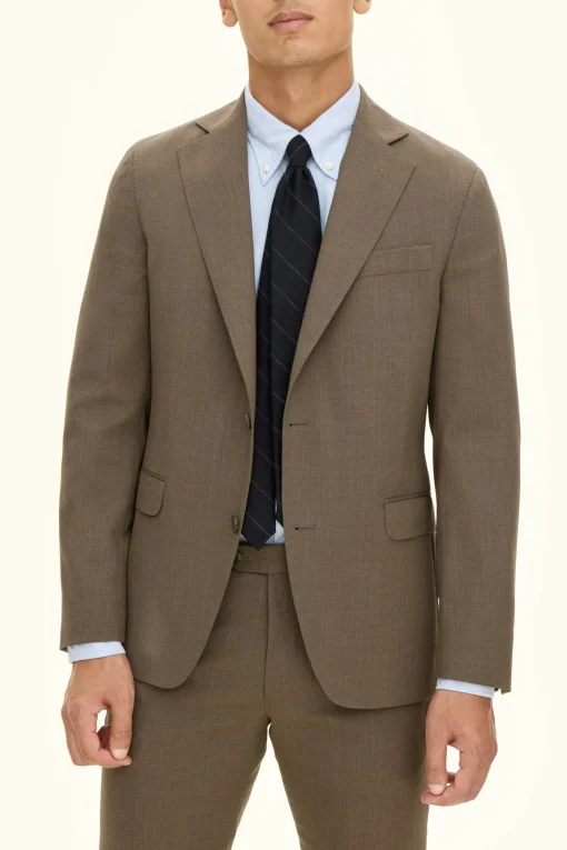 Regular Fit Microstructure Blazer
