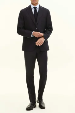 Regular Fit Microstructure Blazer