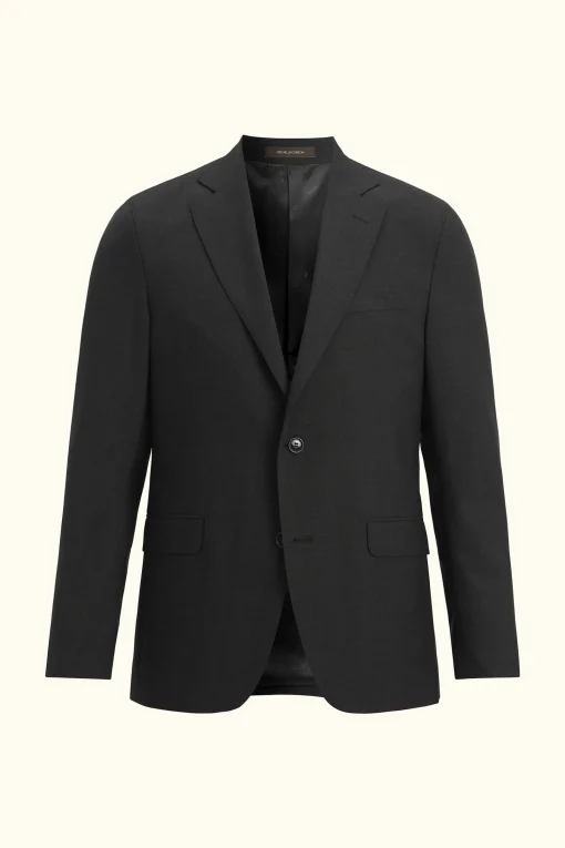 Regular Fit Microstructure Blazer