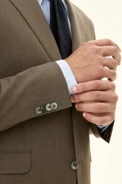 Regular Fit Microstructure Blazer