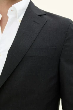 Regular Fit Microstructure Blazer