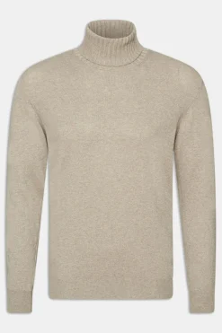 Regular Fit Pure Cotton Rollneck