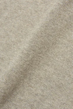 Regular Fit Pure Cotton Rollneck