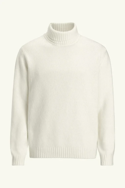 Regular Fit Rollneck
