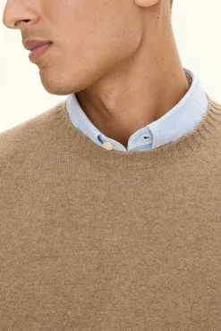 Regular Fit Roundneck Wool Blend Sweater