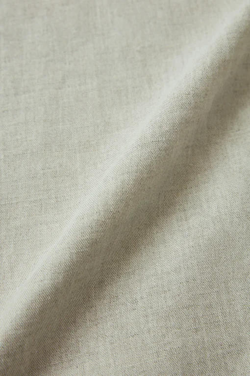 Regular Fit Shirt