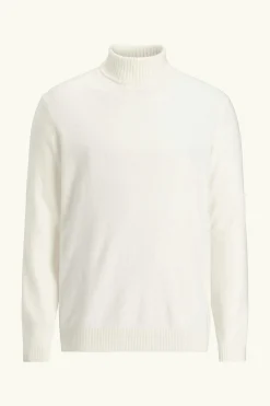 Regular Fit Soft Wool Cashmere Rollneck